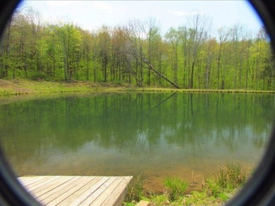 This is a __23.10____ acre parcel suitable for exploring - photo 3