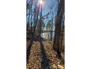 Nearly 3 acres with 400 feet of year-round Smith Lake waterfront - photo 3
