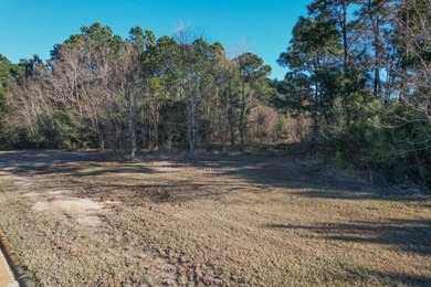 Build your dream home on this exceptional 1.1-acre vacant lot in - photo 8