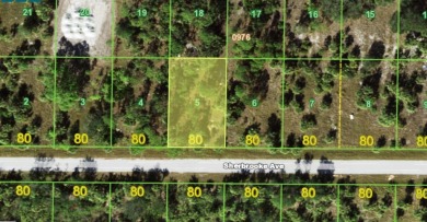 Port Charlotte Waterway Lakes Area Lot For Sale in Port Charlotte Florida