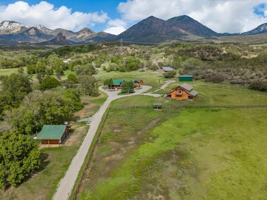 3 Homes. SHOW STOPPER! PEOPLE PULL OVER TO PHOTOGRAPH THIS - photo 9
