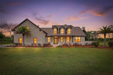 (private lake, pond, coastal) Home For Sale in Waverly Georgia