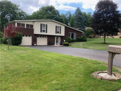 Lake Home For Sale in Center Twp - But, Pennsylvania