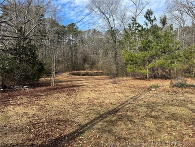 PRICED REDUCED! Unique opportunity to own two adjoining parcels - photo 5