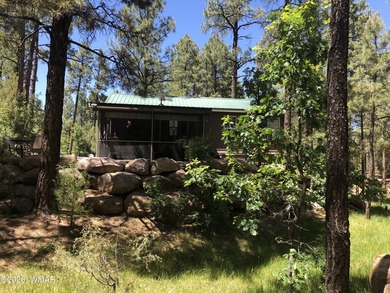 Beautiful Mountain Summertime weather is heree escape the heat - photo 7