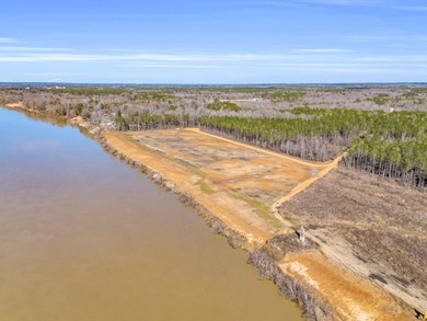 Don't miss your opportunity to own a True Main Channel River Lot - photo 2