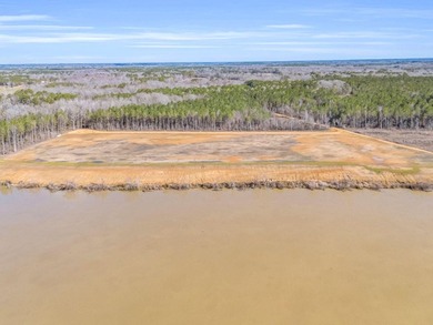 Don't miss your opportunity to own a True Main Channel River Lot - photo 3