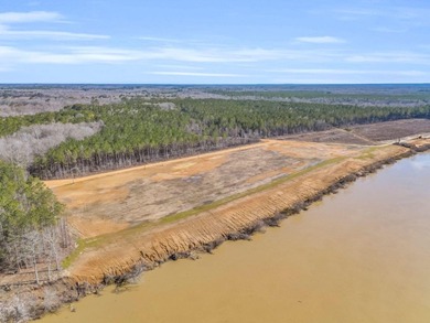 Don't miss your opportunity to own a True Main Channel River Lot - photo 4