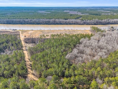 Don't miss your opportunity to own a True Main Channel River Lot - photo 7