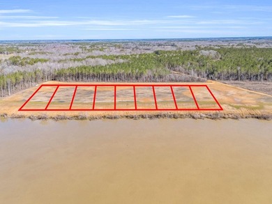 Don't miss your opportunity to own a True Main Channel River Lot - photo 8