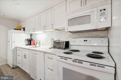 Black Horse Alley is a boutique condominium community of only - photo 18