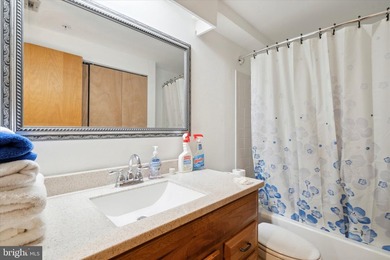 Black Horse Alley is a boutique condominium community of only - photo 21