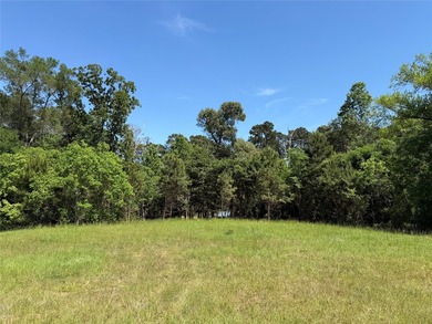 Discover a rare WATERFRONT RANCHETTE opportunity on Lake - photo 5