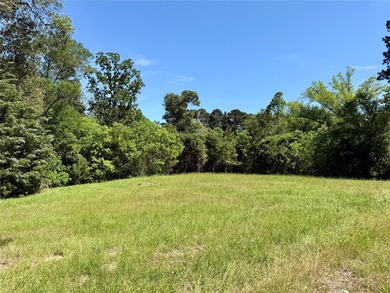 Discover a rare WATERFRONT RANCHETTE opportunity on Lake - photo 9