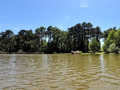 Discover a rare WATERFRONT RANCHETTE opportunity on Lake - photo 10