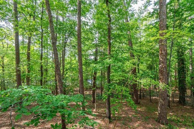 A wonderful 3/2 located in Hot Springs Village. It has been - photo 33