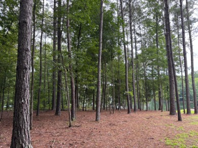 Beautiful lake lot near the main body of Smith Lake - photo 3
