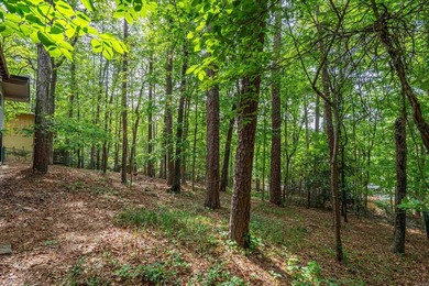 A wonderful 3/2 located in Hot Springs Village. It has been - photo 34