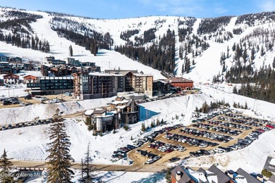 This premier, true ski-in/ski-out residence in the heart of the - photo 5