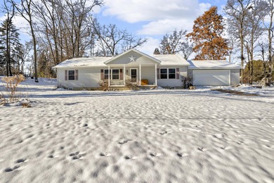 Lake Home Active Under Contract in Horton, Michigan