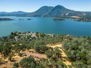 Lake Acreage For Sale in Glenhaven, California