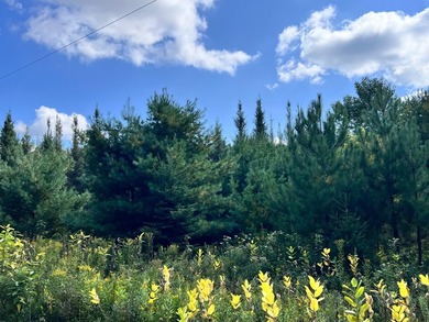 The Perfect Northwoods Retreat Awaits!Lot 3 on Black Bear - photo 11