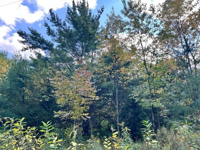 The Perfect Northwoods Retreat Awaits!Lot 3 on Black Bear - photo 12