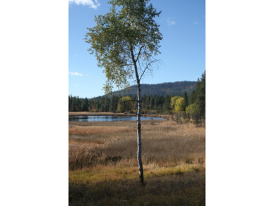 53.21 Acres. This ultra secluded parcel has it's own 5+ acre - photo 12