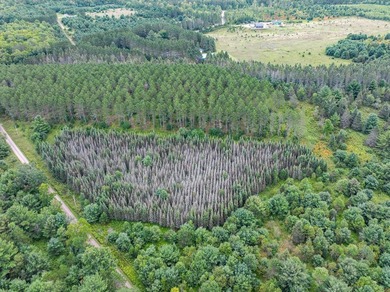 The Perfect Northwoods Retreat Awaits!Lot 3 on Black Bear - photo 13