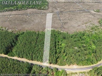 Stunning +/-3.0 acres tidal creek frontage lot in Tuscan - photo 1
