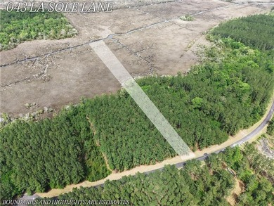 Stunning +/-3.0 acres tidal creek frontage lot in Tuscan - photo 2