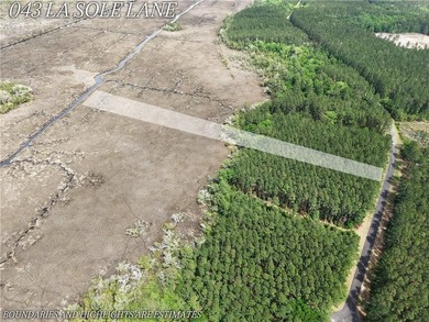 Stunning +/-3.0 acres tidal creek frontage lot in Tuscan - photo 3