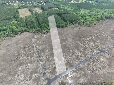Stunning +/-3.0 acres tidal creek frontage lot in Tuscan - photo 4