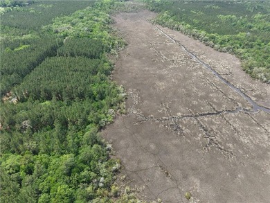 Stunning +/-3.0 acres tidal creek frontage lot in Tuscan - photo 8