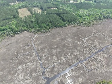 Stunning +/-3.0 acres tidal creek frontage lot in Tuscan - photo 9