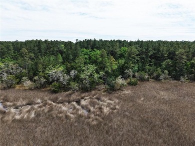 Stunning +/-3.0 acres tidal creek frontage lot in Tuscan - photo 10