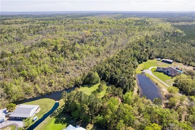 Welcome to one of Camden County's most extraordinary private - photo 7