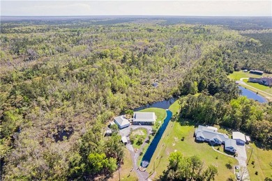 Welcome to one of Camden County's most extraordinary private - photo 8