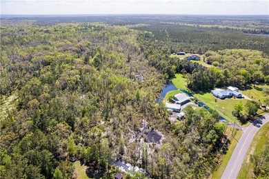 Welcome to one of Camden County's most extraordinary private - photo 9