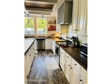 Welcome to lake life at its best on beautiful Nolin Lake! This - photo 14