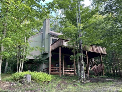 Lake Home For Sale in Davis, West Virginia