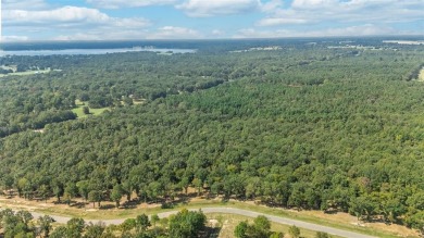 Lake Lot For Sale in Yantis, Texas