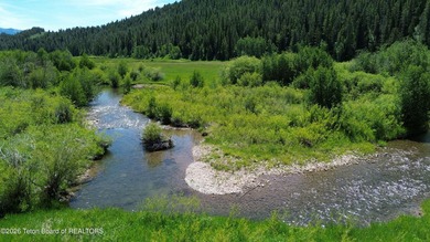 Idaho property with a Freedom, Wyoming mailing address, situated - photo 1