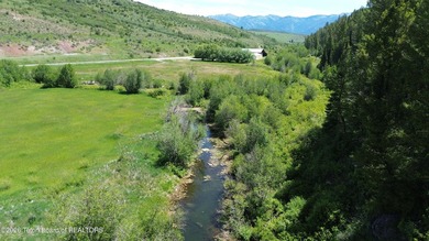 Idaho property with a Freedom, Wyoming mailing address, situated - photo 2