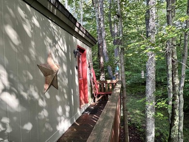 You will feel all the rustic comfort of a mountain cabin while - photo 4