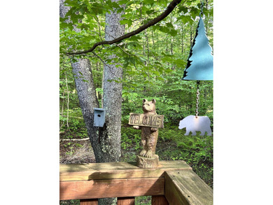 You will feel all the rustic comfort of a mountain cabin while - photo 7
