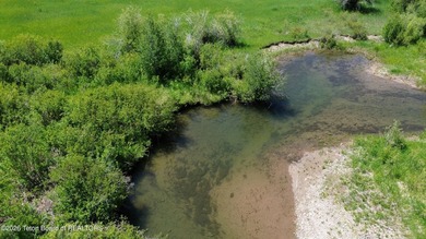 Idaho property with a Freedom, Wyoming mailing address, situated - photo 7