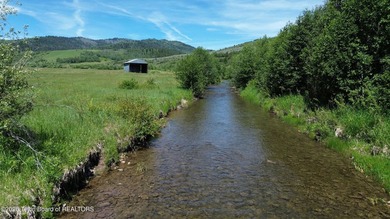 Idaho property with a Freedom, Wyoming mailing address, situated - photo 8
