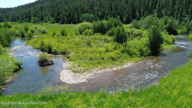 Idaho property with a Freedom, Wyoming mailing address, situated - photo 9