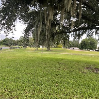 Stunning 5BR 3.5BA Pool home located on the Premier Golf Course - photo 32